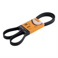 CONTINENTAL CTAM 6PK1555 Keilrippenriemen
