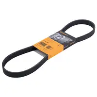 CONTINENTAL CTAM 6PK955 Keilrippenriemen