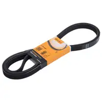 CONTINENTAL CTAM 6PK2650 Keilrippenriemen
