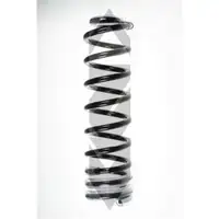 SPIDAN 55752 Fahrwerksfeder