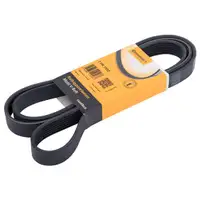 CONTINENTAL CTAM 7PK1920 Keilrippenriemen