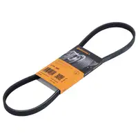CONTINENTAL CTAM 4PK885 Keilrippenriemen