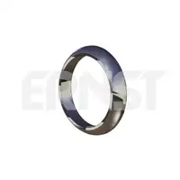 ERNST 493055 Dichtring