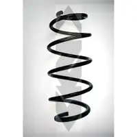 2x Spidan Fahrwerksfeder 85354 Vorderachse Opel Signum CC Vectra C