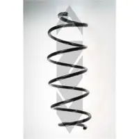 2x Spidan Fahrwerksfeder 85004 Vorderachse Citroen C2