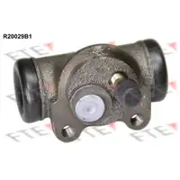 FTE R20029B1 Radzylinder