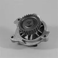 GK 980550 Wasserpumpe