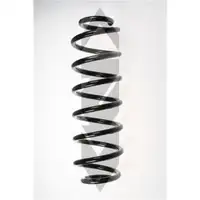2x Spidan Fahrwerksfeder 56661 Hinterachse Seat Altea Skoda Octavia II VW Passat