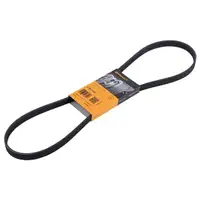 CONTINENTAL CTAM 5PK1165 Keilrippenriemen