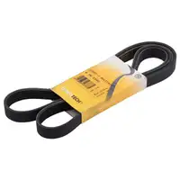 CONTINENTAL CTAM 6PK2060 Keilrippenriemen
