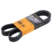CONTINENTAL CTAM 8PK1230 Keilrippenriemen