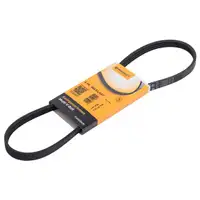 CONTINENTAL CTAM 4PK844 ELAST Keilrippenriemen