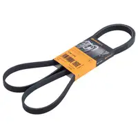 CONTINENTAL CTAM 5PK1745 Keilrippenriemen