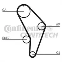 CONTINENTAL CTAM CT926 Zahnriemen