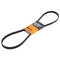 CONTINENTAL CTAM 5PK1230 Keilrippenriemen