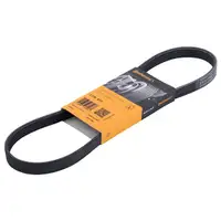 CONTINENTAL CTAM 5PK813 Keilrippenriemen