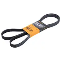 CONTINENTAL CTAM 6PK1850 Keilrippenriemen