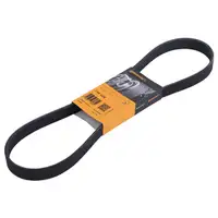 CONTINENTAL CTAM 7PK1035 Keilrippenriemen