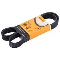 CONTINENTAL CTAM 8PK1175 Keilrippenriemen