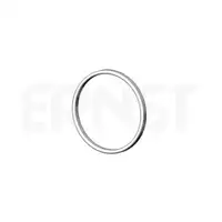 ERNST 499279 Dichtring