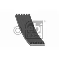 FEBI BILSTEIN 28955 Keilrippenriemen
