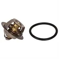 FEBI BILSTEIN 18276 Thermostat für VW