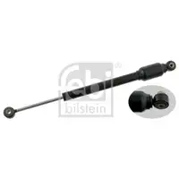 FEBI BILSTEIN 27613 Lenkungsdämpfer