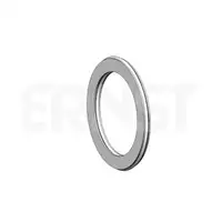 ERNST 493499 Dichtring