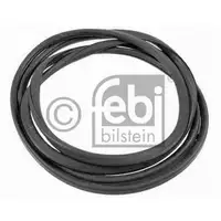 FEBI BILSTEIN 06290 Windschutzscheibendichtung für VOLVO