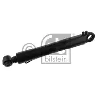 FEBI BILSTEIN 34243 Kippzylinder
