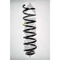 SPIDAN 85209 Fahrwerksfeder
