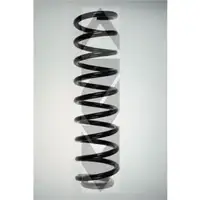 Fahrwerksfeder Spidan 85946 für Mercedes Benz für Mercedes Benz Vorderachse