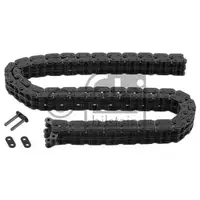 FEBI BILSTEIN 09252 Steuerkette