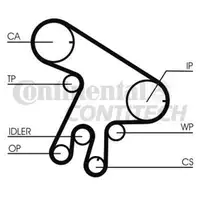 CONTINENTAL CTAM CT1043WP1 Zahnriemen Kit + Wasserpumpe
