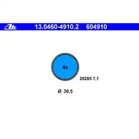 ATE 13.0460-4910.2 Belagsatz