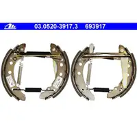 ATE 03.0520-3917.3 ATE Topkit