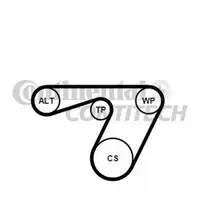 CONTINENTAL CTAM 6PK1180K1 Keilrippenriemen Kit