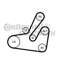 CONTINENTAL CTAM 6PK1795K2 Keilrippenriemen Kit
