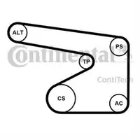 CONTINENTAL CTAM 5PK1355K1 Keilrippenriemen Kit