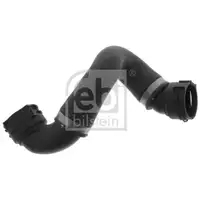FEBI BILSTEIN 100617 Kühlwasserschlauch