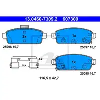ATE 13.0460-7309.2 Belagsatz