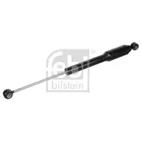 FEBI BILSTEIN 100867 Lenkungsdämpfer