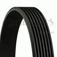 CONTINENTAL CTAM 7PK3120 Keilrippenriemen