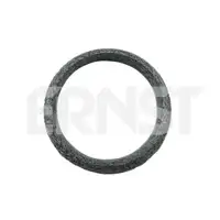 ERNST 490313 Dichtring