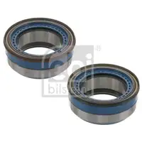 FEBI BILSTEIN 102555 Radlagersatz