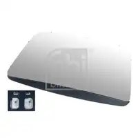FEBI BILSTEIN 107942 Spiegelglas für VOLVO