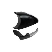 VAN WEZEL Blinker seitlich li. im Spiegel 5745915