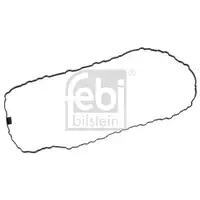 FEBI BILSTEIN 171959 Ölwannendichtung