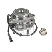FEBI BILSTEIN 172487 Radlagersatz