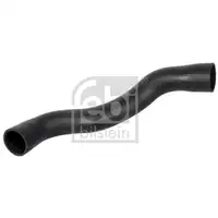 FEBI BILSTEIN 172990 Motorlager für HYUNDAI, KIA